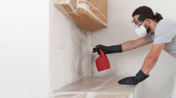Professional Attic Mold Remediation technician working in Milton, FL