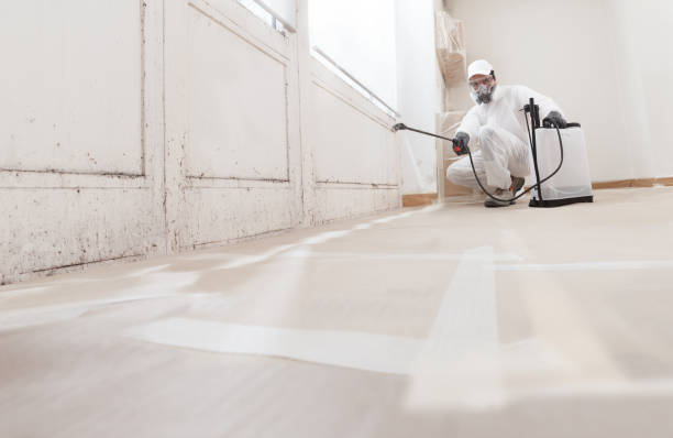 24/7 Emergency Attic Mold Remediation experts in Milton, FL